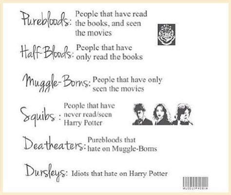 Harry potter life quiz long and detailed VERY VERY .